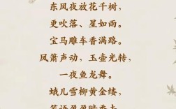 宋朝诗歌有何独特魅力？