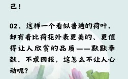 荷叶名言，荷叶的名言名句