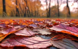 秋天落叶的诗歌，秋天落叶的诗歌自编