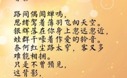 诗歌背影究竟描绘了怎样的深情与离愁？