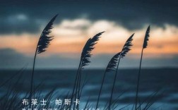 帕斯卡尔名言有何深意？