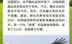 鹰的诗歌，鹰的诗歌朗诵