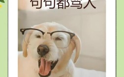 搞笑名言哪里找？