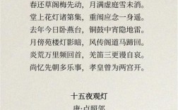 描写节目的诗歌