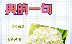 绣球花诗歌，花语与诗意的碰撞？
