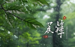 柏桦诗歌，柏桦诗歌 雨停了