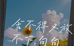 舍不得的诗歌，舍不得的诗歌有哪些