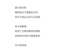 雪的现代诗歌，雪的现代诗歌精选简短