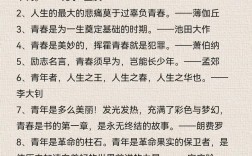 青春 梦想 名言