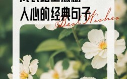 成长路上名言，藏着怎样的生命启示？