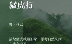 猛虎诗中藏何魂？