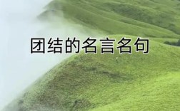 团结的的名言，团结的名言一根筷子