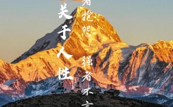 关于弱者的名言