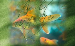 名言为谁而鸣？