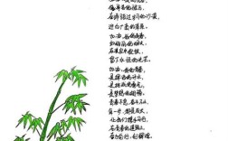 诗歌和青春，诗歌和青春的宣传语