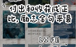 付出与收获 名言
