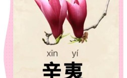 辛夷花诗歌，何意蕴藏其中？