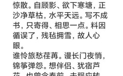 张炎诗歌有何独特艺术魅力？