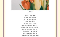 花环与诗歌，藏着怎样的故事？