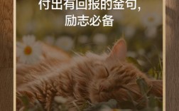 付出与收获名言，付出与收获名言警句