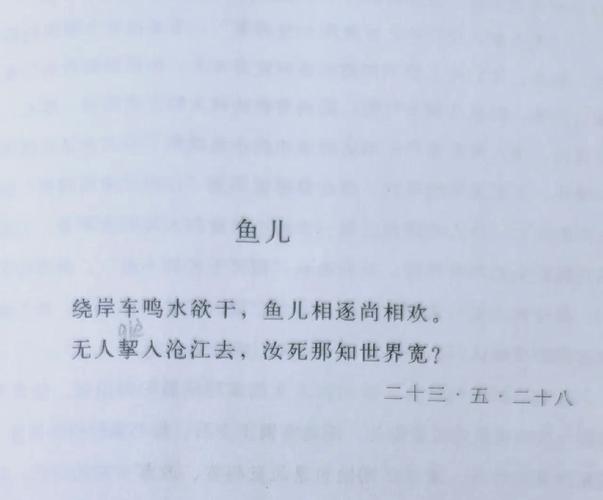 鱼的诗，是鳞片写的还是浪涌的呼吸？-图2