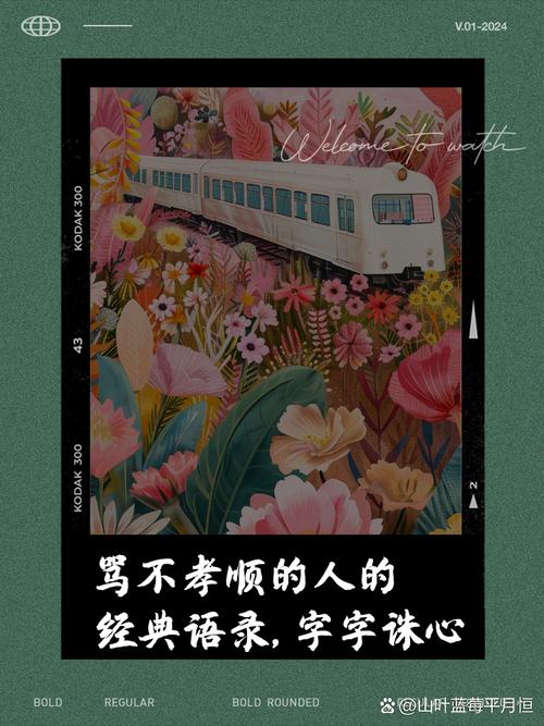 讽刺不孝名言，是警醒还是扭曲了孝的真谛？-图3