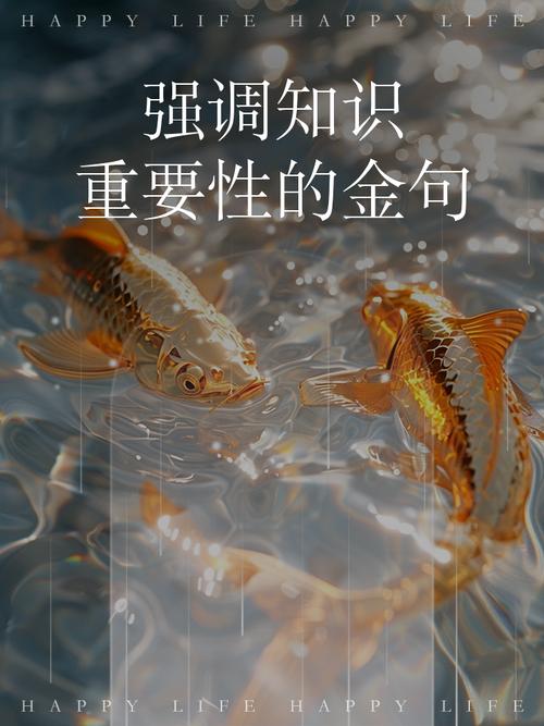 名言警句为何能凸显宣传的重要性?-图3 名言警句为何能凸显宣传的重要性?-图3