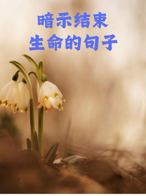 和生命有关的名言-图1