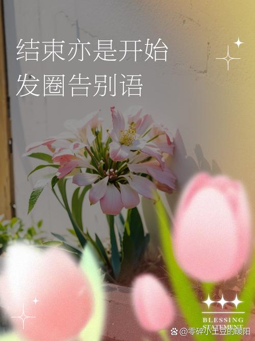 名言说结束就是开始，结束如何成为开始？-图1