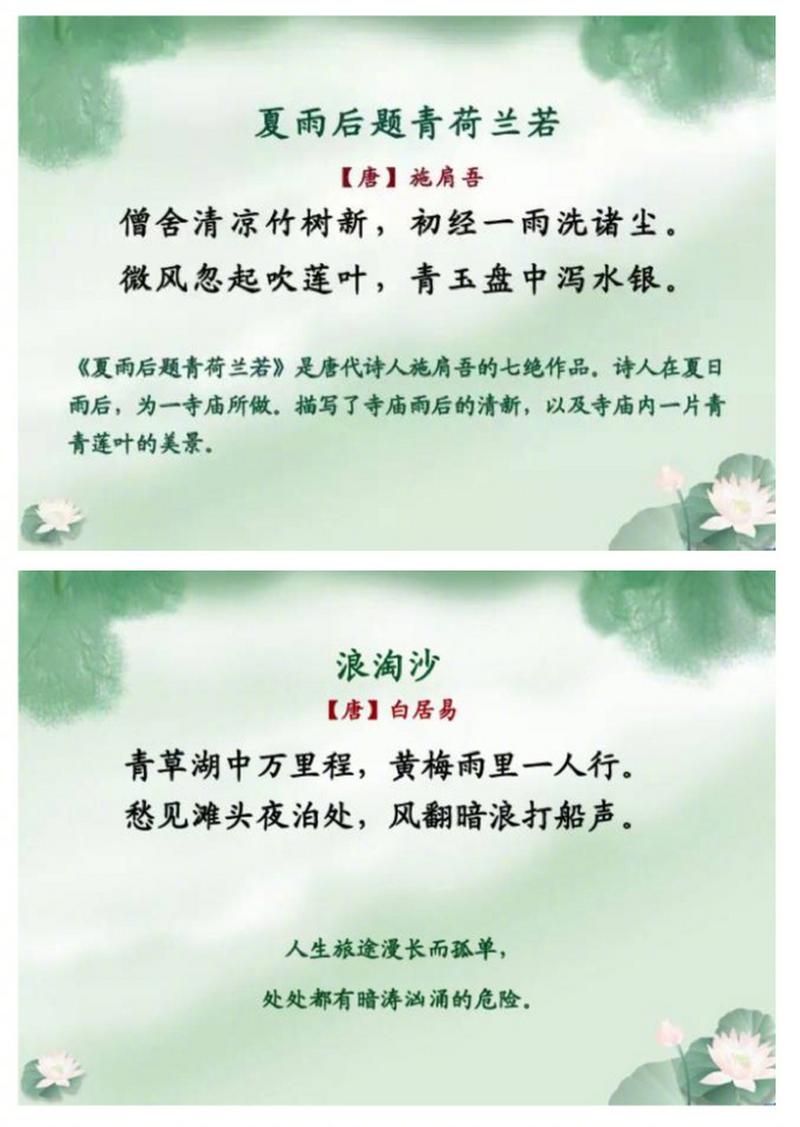 夏雨落诗行，是凉意还是诗意的回响？-图3