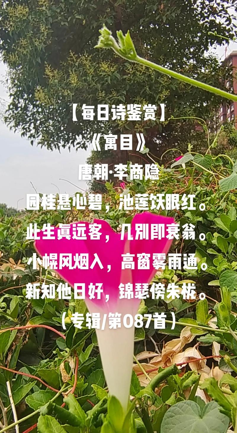 盛唐诗歌特点如何铸就其巅峰地位?-图3 盛唐诗歌特点如何铸就其巅峰地位?-图3