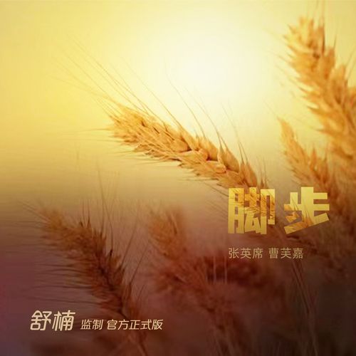 诗歌脚步丈量了哪些远方？-图1