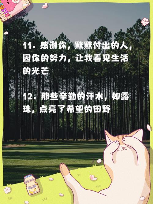 哪些名言名句能激励我们持续付出不放弃？-图3