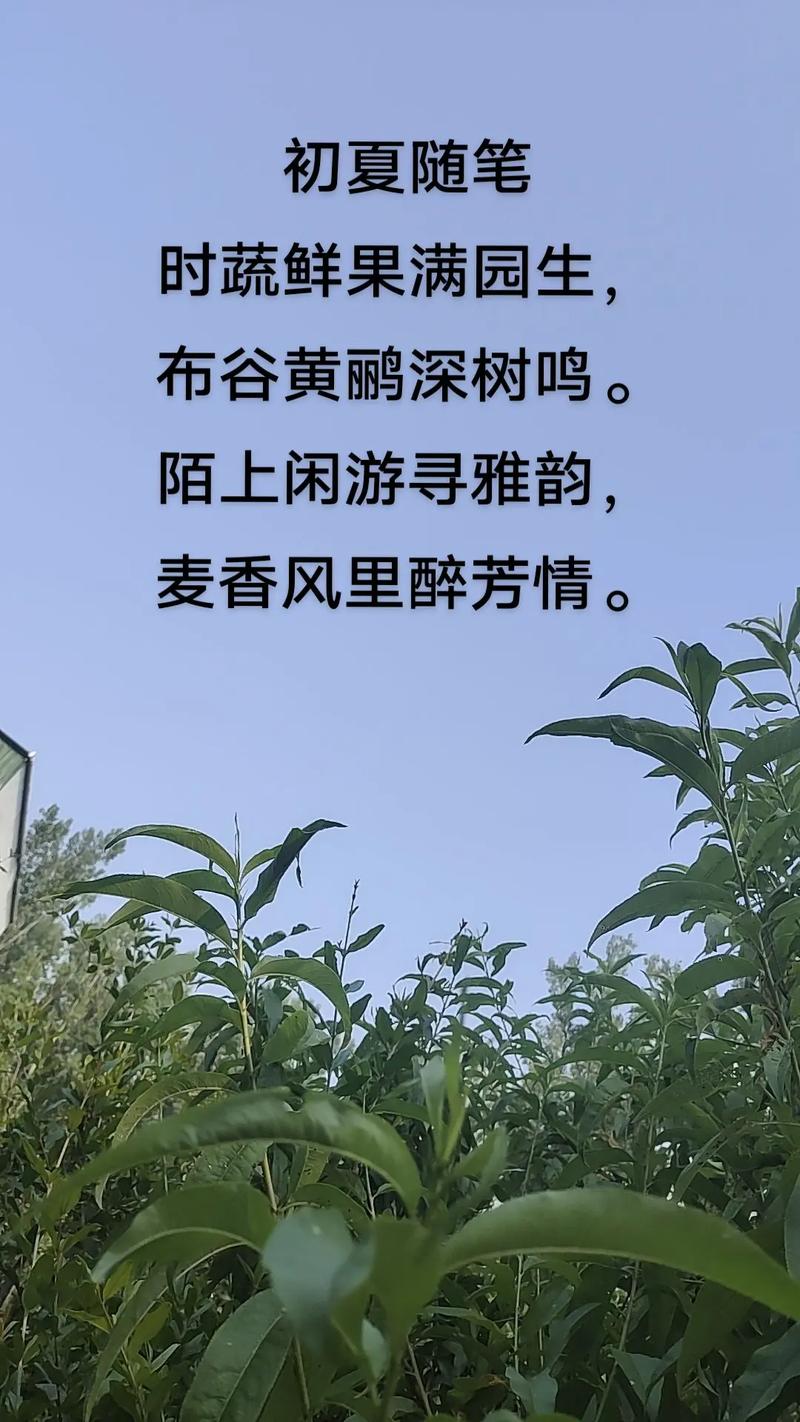 美景入诗诗韵生?-图2 美景入诗诗韵生?-图2