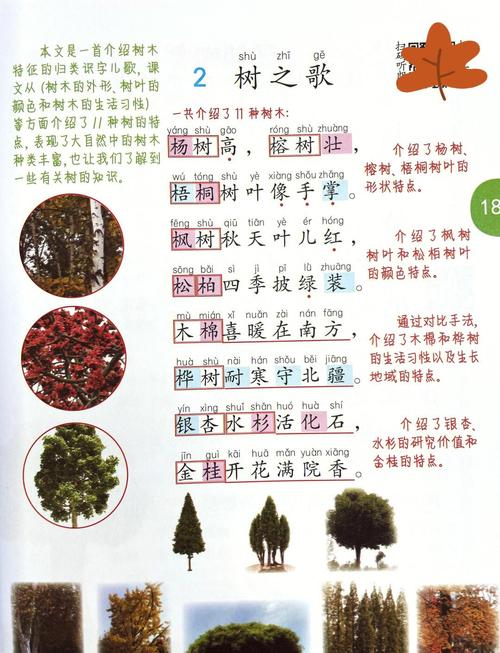 树诗中藏着怎样的生命密码？-图3