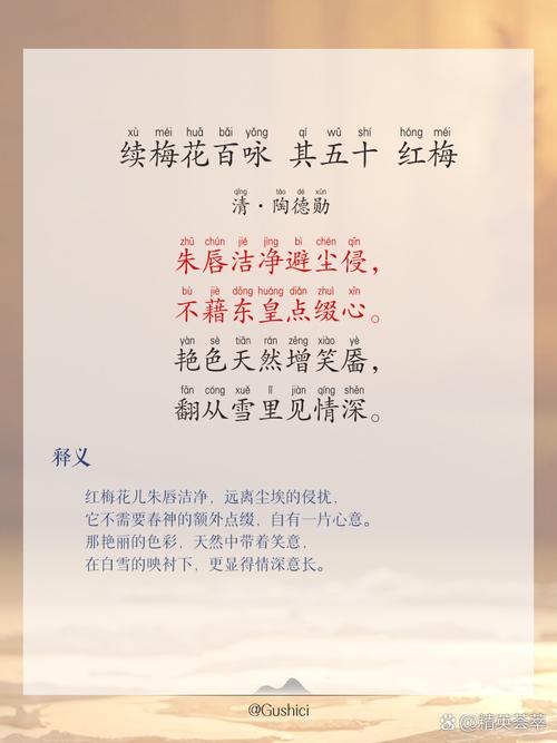 梅花 现代诗歌-图2