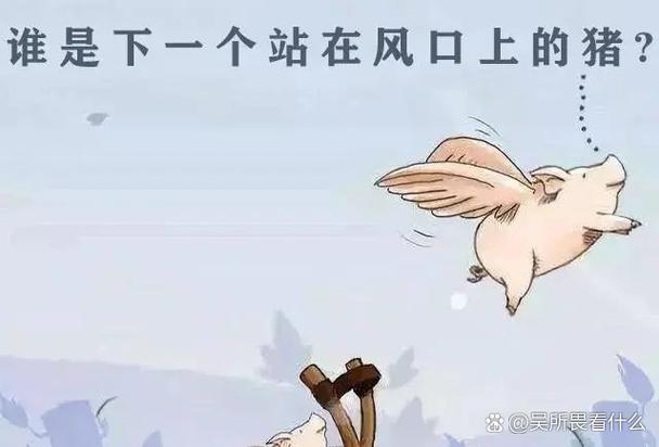 猪真能飞？雷军名言背后藏着什么？-图3
