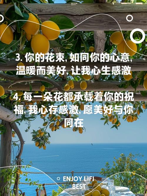 送花名言背后藏着哪些深意？-图2