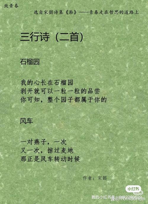 三十首诗歌，藏着怎样的人生故事？-图3