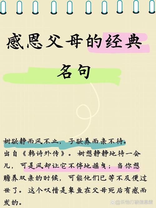 名言名句如何教我们真正珍惜家人？-图1