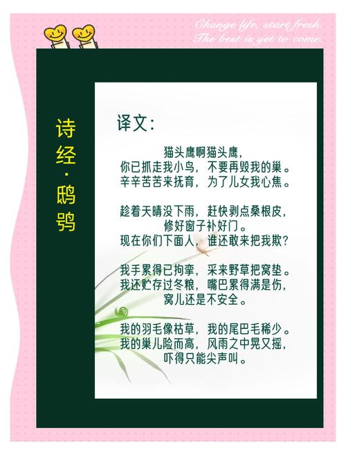 猫头鹰的诗歌藏着怎样的夜语？-图2