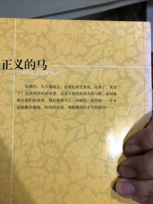 何为正义诗歌？诗中正义如何定义？-图3