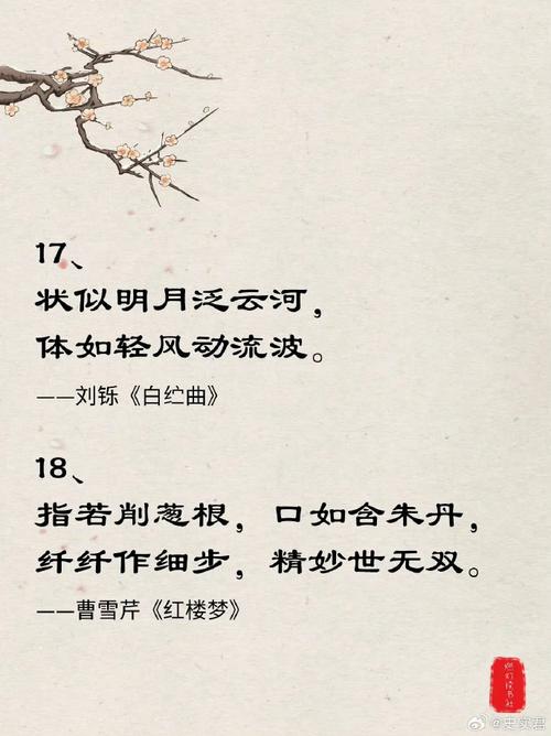 赞美美女的诗句和名言-图2