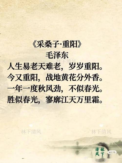 重阳诗歌诗，蕴含何种文化深意？-图3