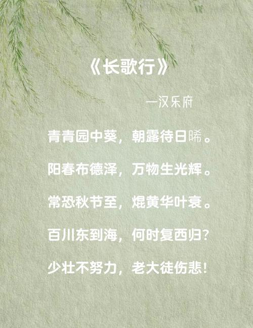 青春励志诗，点燃热血还是抚平迷茫？-图2