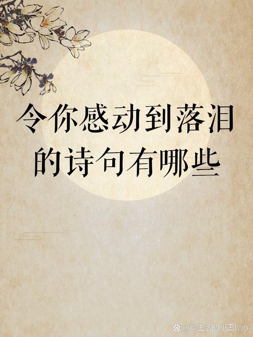 哪些诗歌最触动人心底柔软？-图1