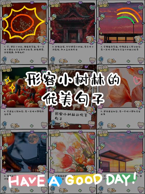 关于森林的名言警句-图3