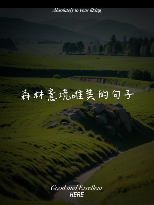 关于森林的名言警句-图1