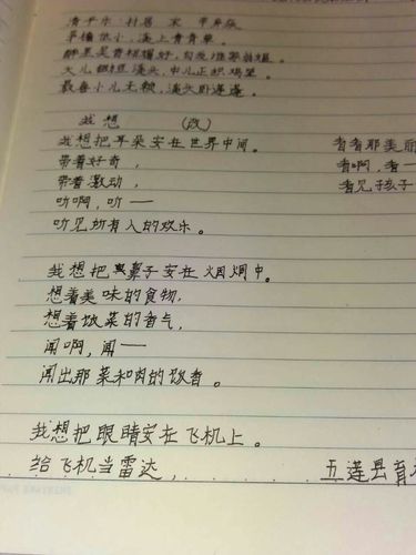 读书与梦想的诗歌-图2