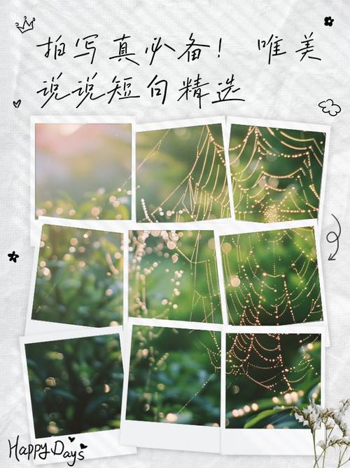 摄影名言背后藏着哪些创作密码？-图1